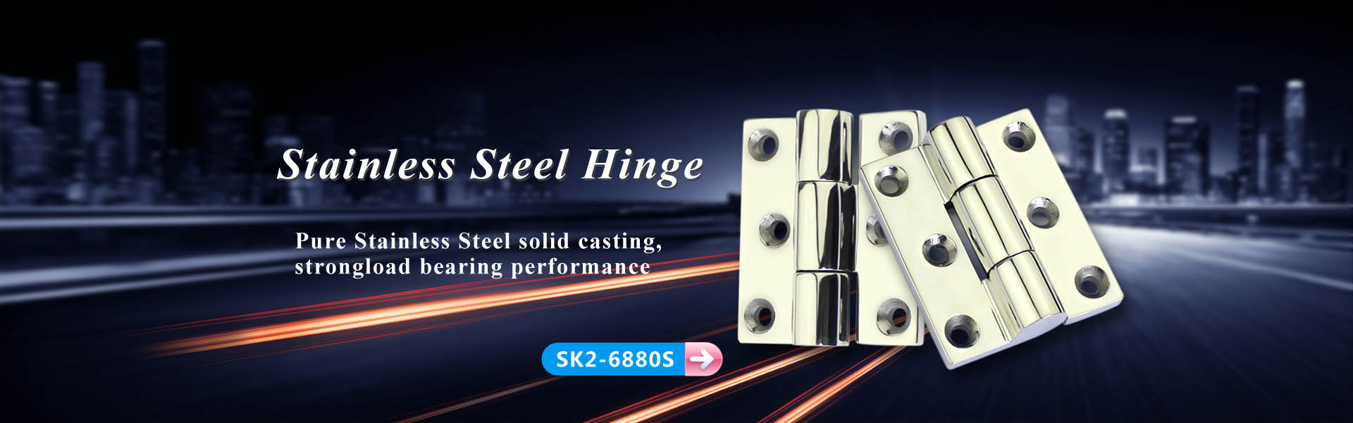 Stainless Steel Hinge